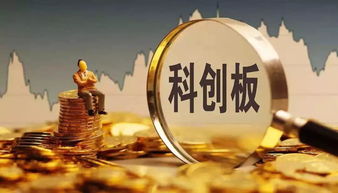 科創(chuàng)板受理企業(yè)增至62家，互聯(lián)網(wǎng)銷售領(lǐng)域迎來馬云、雷軍、王思聰?shù)韧顿Y大佬