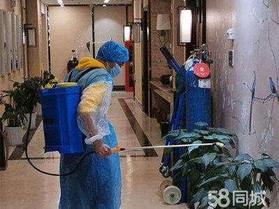 專業保潔服務 從美縫除醛到衣櫥整理，全方位守護家居健康